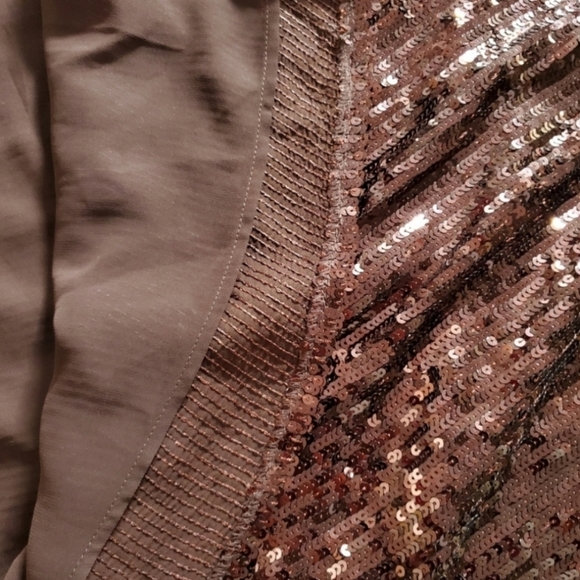 Zara Sequin Dess - Picture 9 of 9